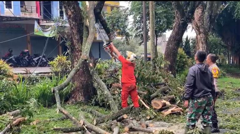 Angin Puting Beliung Terjang Kota Malang, Rusak Rumah dan Tumbangkan Sejumlah Pohon