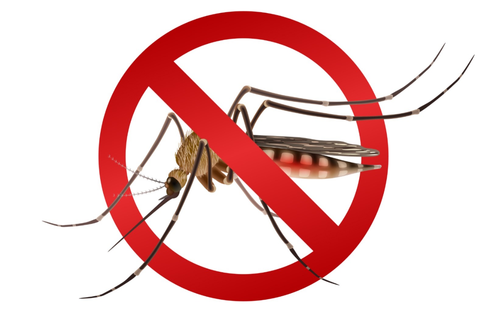 Kemenkes Nyatakan 17 Daerah di Indonesia Bebas dari Penyakit Malaria, Berikut Daftarnya