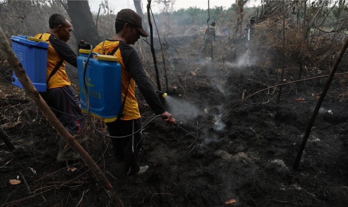 Kebakaran Lahan dan Hutan Masih Landa Sejumlah Wilayah di Sumatera Selatan