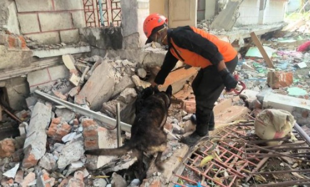 Bawa Serta Dua Anjing Pelacak, Tim Ditpolsatwa Polri bersama INASAR Gelar Pencarian Korban Gempa Myanmar