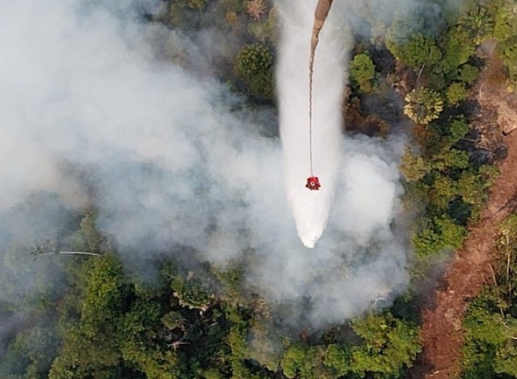 Delapan Peristiwa Kebakaran Hutan Terjadi di Sejumlah Wilayah Tanah Air, Ini Laporan Lengkap BNPB