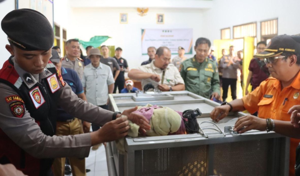 Geger Warga, Temukan Macan Tutul Dua Hari Tinggal di Gudang Balai Desa Kutamandarakan Kuningan