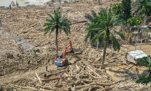 Kasus Dugaan Pembalakan Liar di Garoga dan Angoli Sumatera Utara Naik ke Tahap Penyidikan