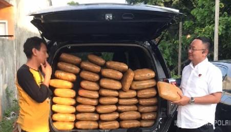 Polda Sumbar Gagalkan Peredaran Ganja Seberat 48 Kilogram di Wilayah Sumatera Barat